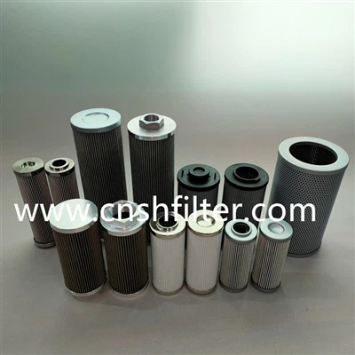 EVOTEK EERL10BP10 Bucket Wheel Machine Duplex Filter Element